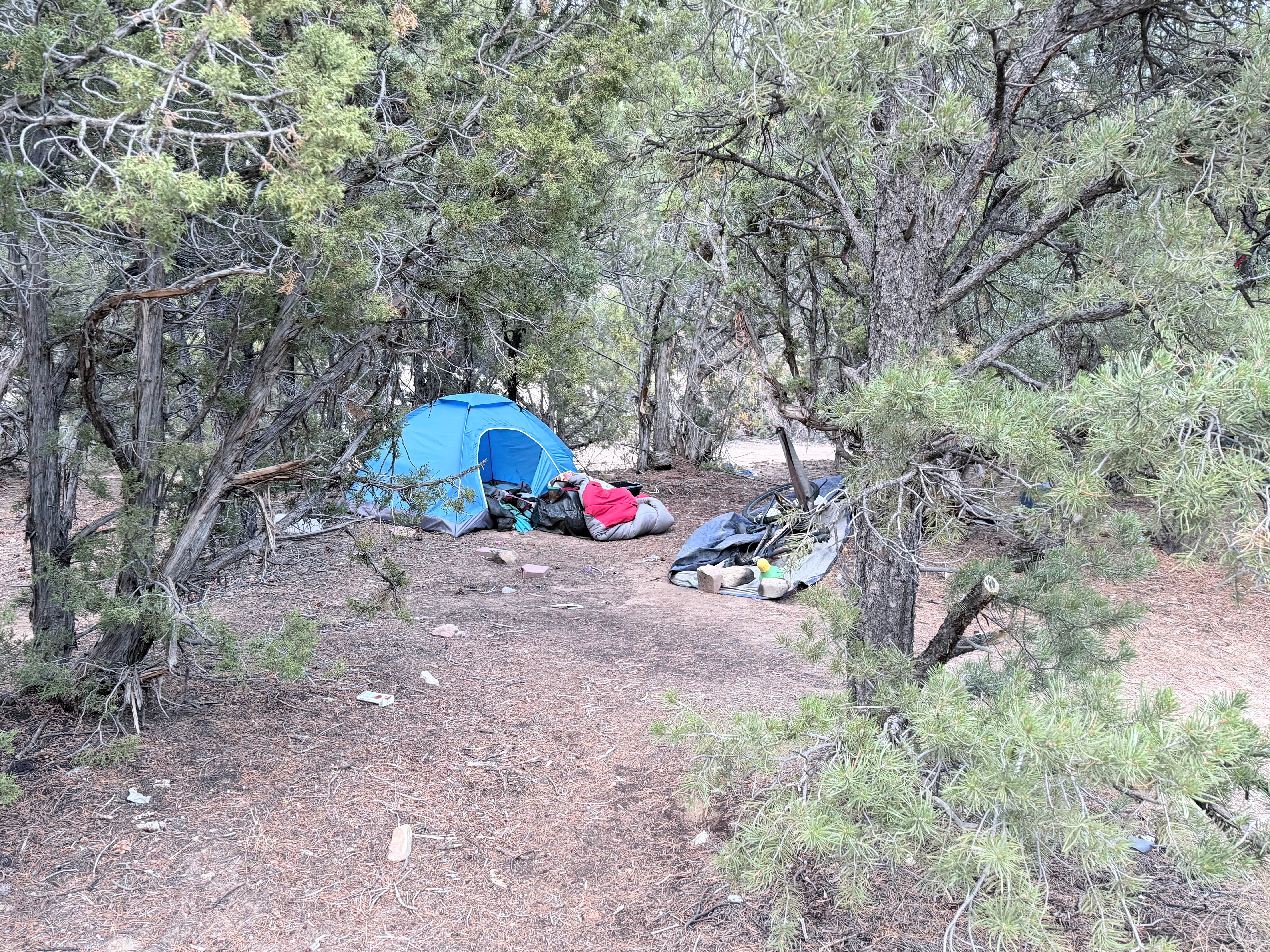 Camper-submitted photo at Coal Creek near Kanarraville, UT