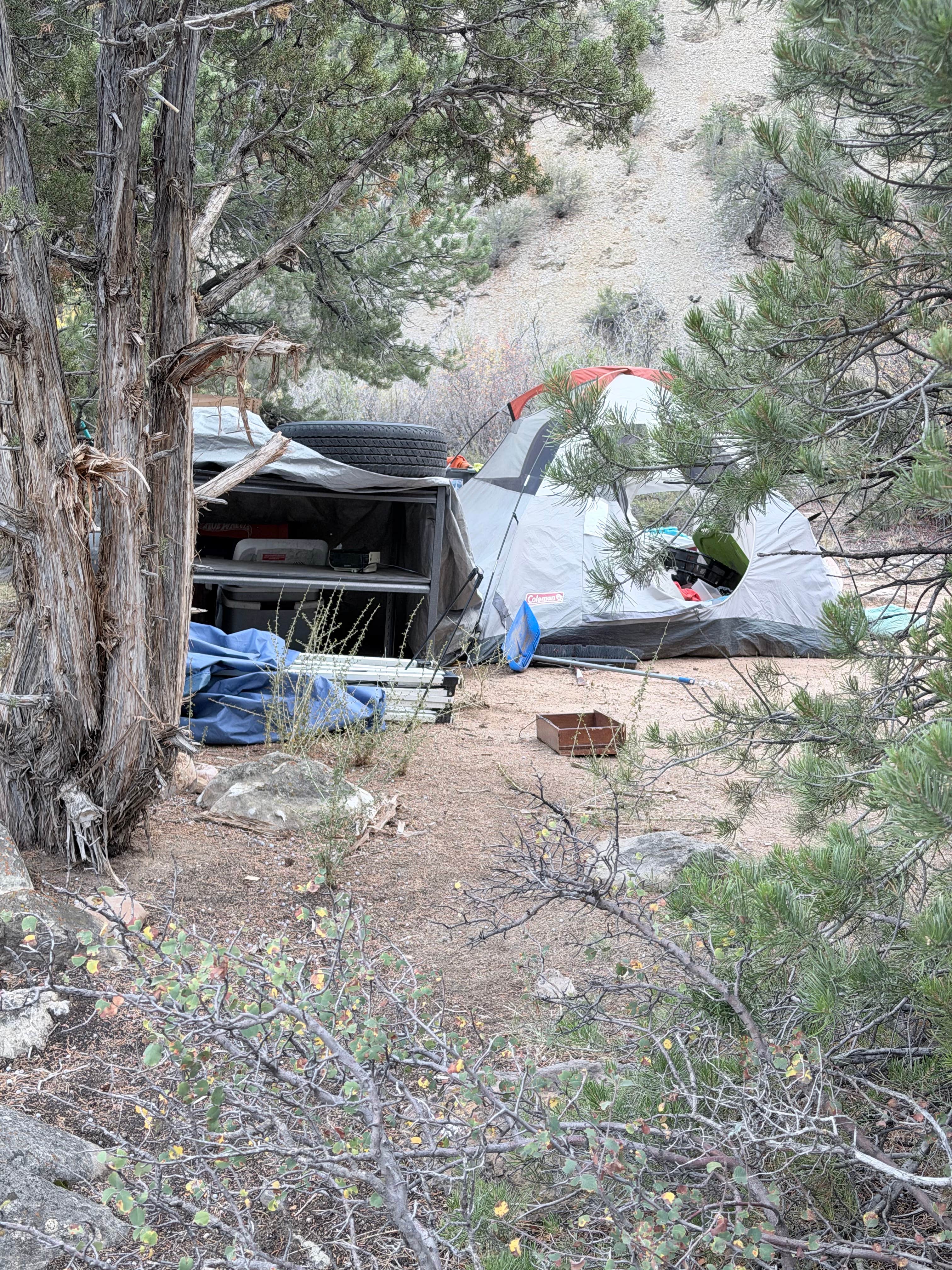 Camper submitted image from Coal Creek - 1