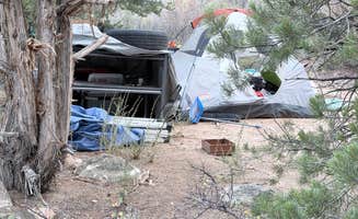 Cam P.'s photo at Coal Creek near Parowan, UT