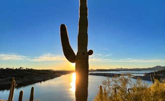 Cam P.'s photo of a dispersed camping area at Coal Creek near Summit, UT