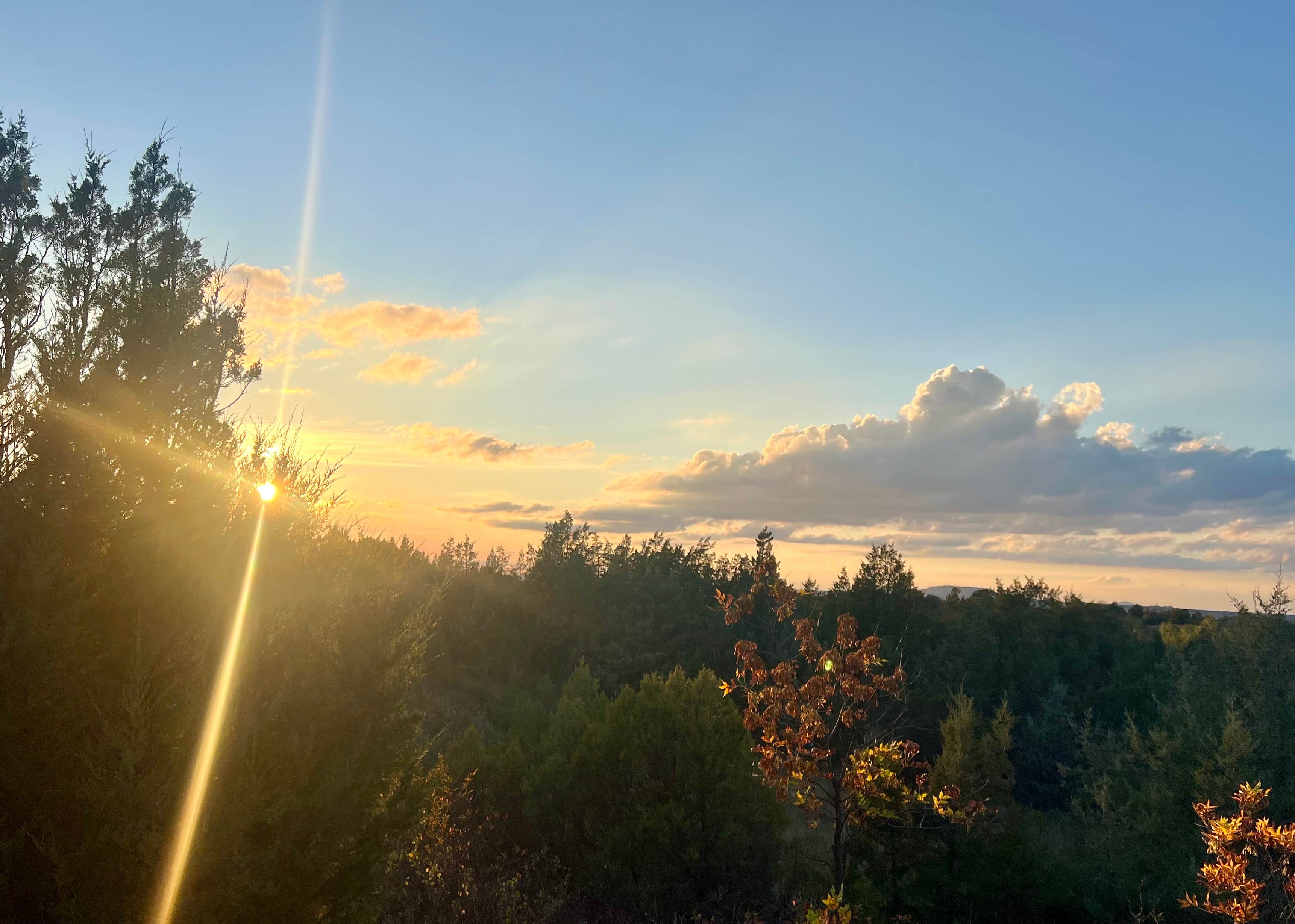 Camper submitted image from Coal Creek Campground - 1