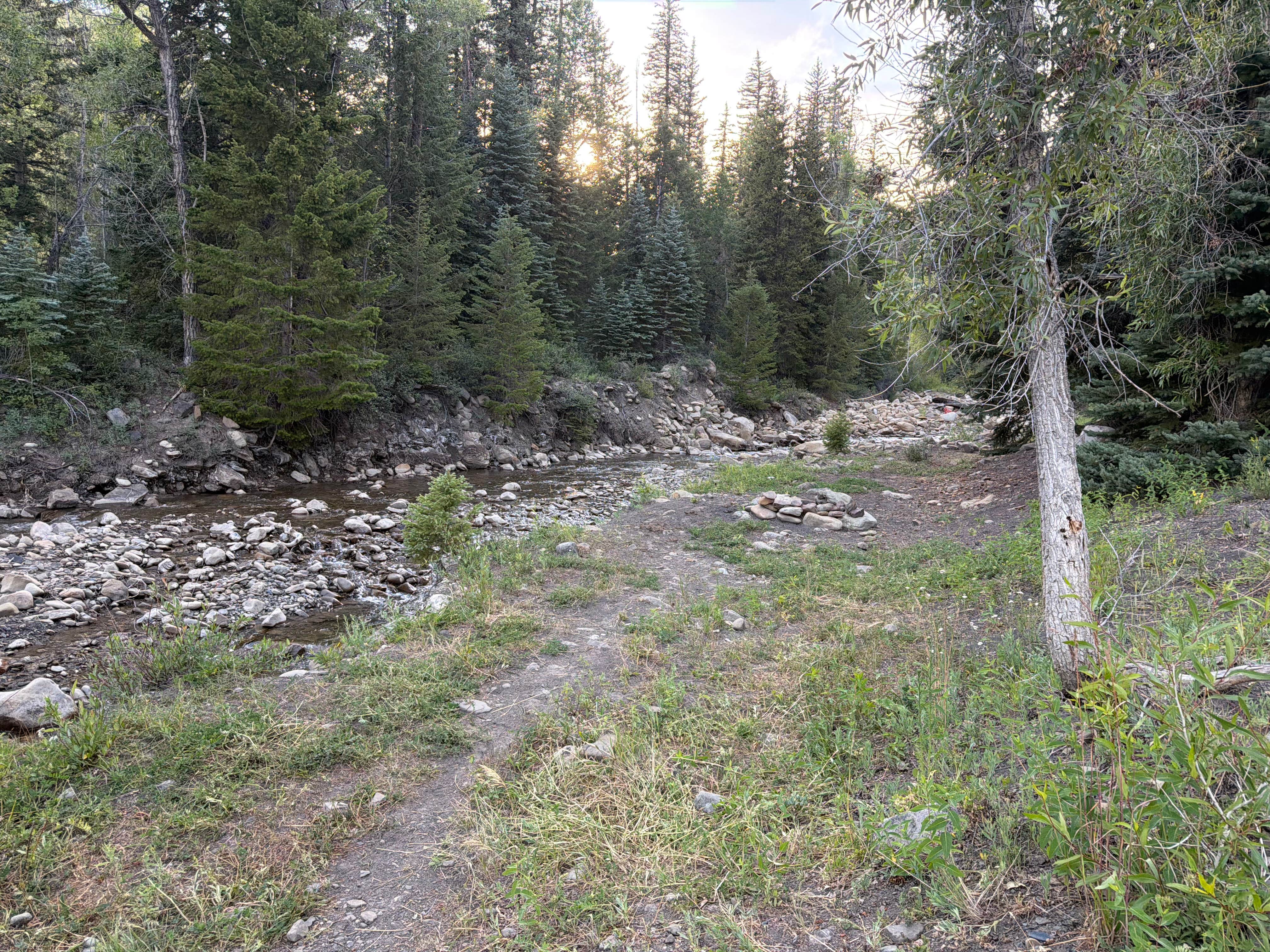 Camper-submitted photo at Coal Creek Road Disbursed Camping near Redstone, CO