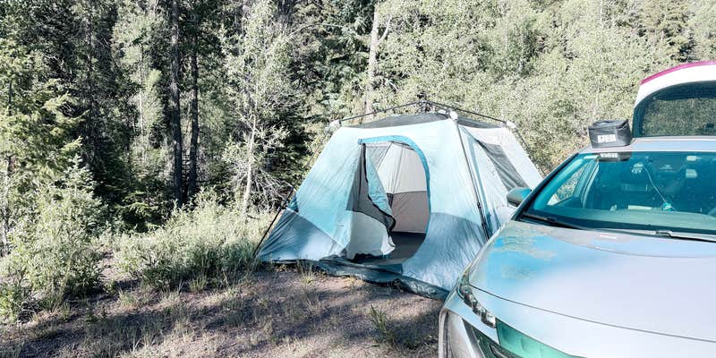 Camper submitted image from Coal Creek