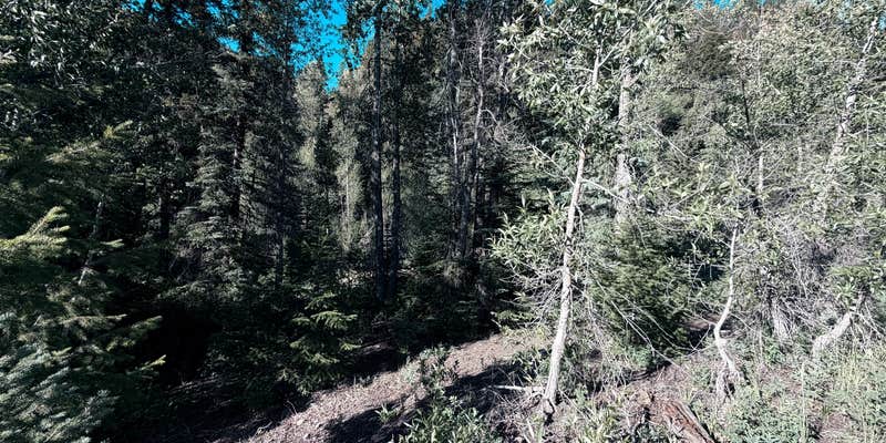Camper submitted image from Coal Creek