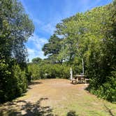Review photo of Coastal Acres Campground by Gianna , September 3, 2025