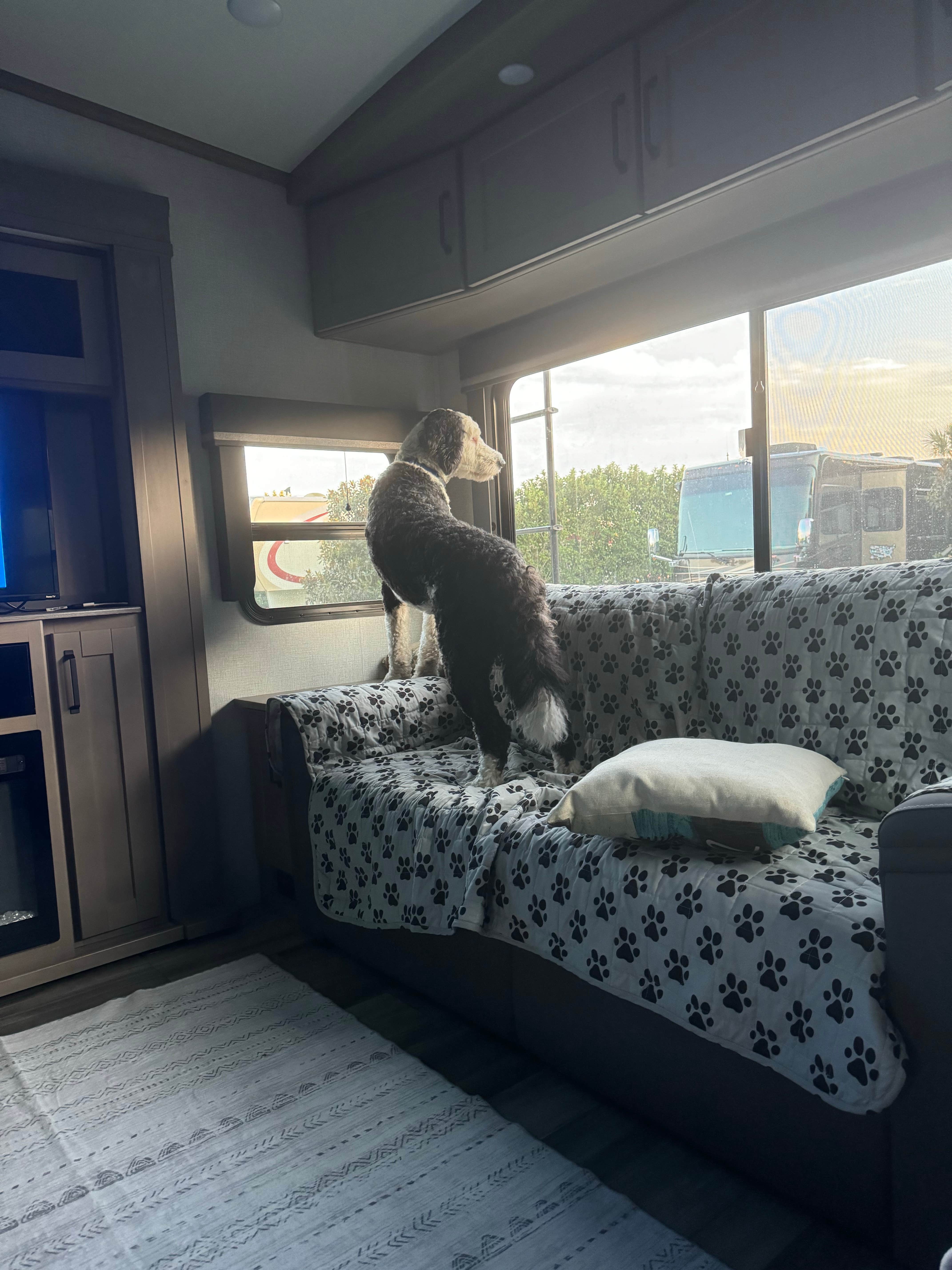 Amanda W.'s photo of camping with pets at Coastal GA RV Resort near Brunswick, GA