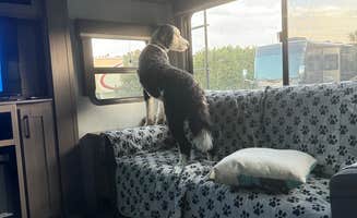 Amanda W.'s photo of camping with pets at Coastal GA RV Resort near Waycross, GA