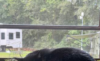 madison F.'s photo of camping with pets at Cobble Hill RV Campground (Formerly) Carolina Rose near Welcome, NC