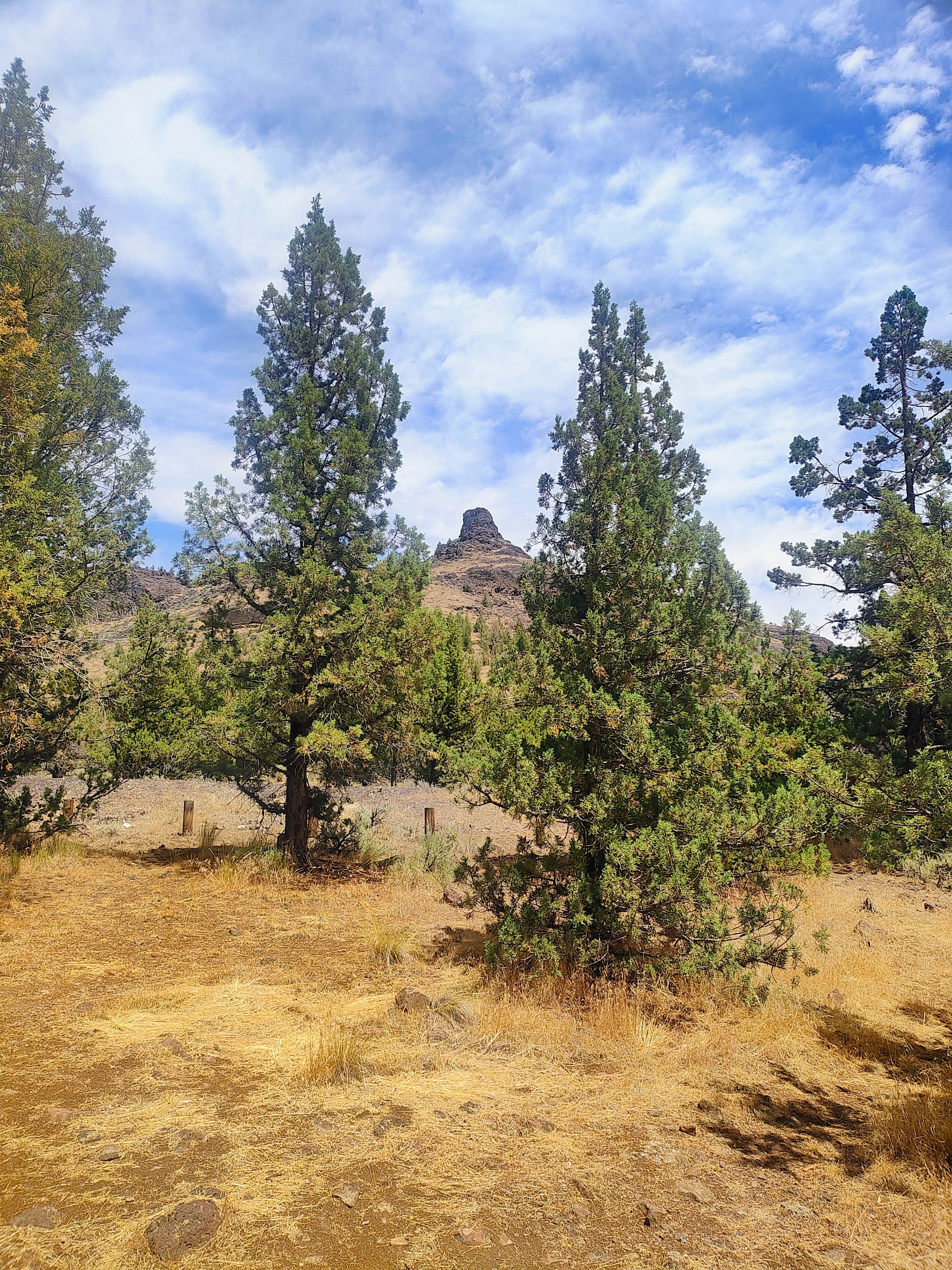Camper-submitted photo at Cobble Rock Campground near Prineville, OR
