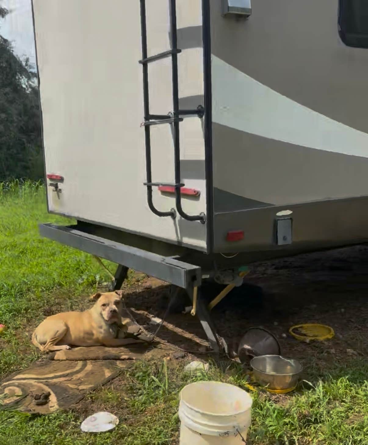 Amber L.'s photo of camping with pets at Coble's Landing near Mount Gilead, NC