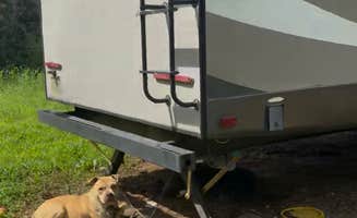 Amber L.'s photo of camping with pets at Coble's Landing near Wingate, NC
