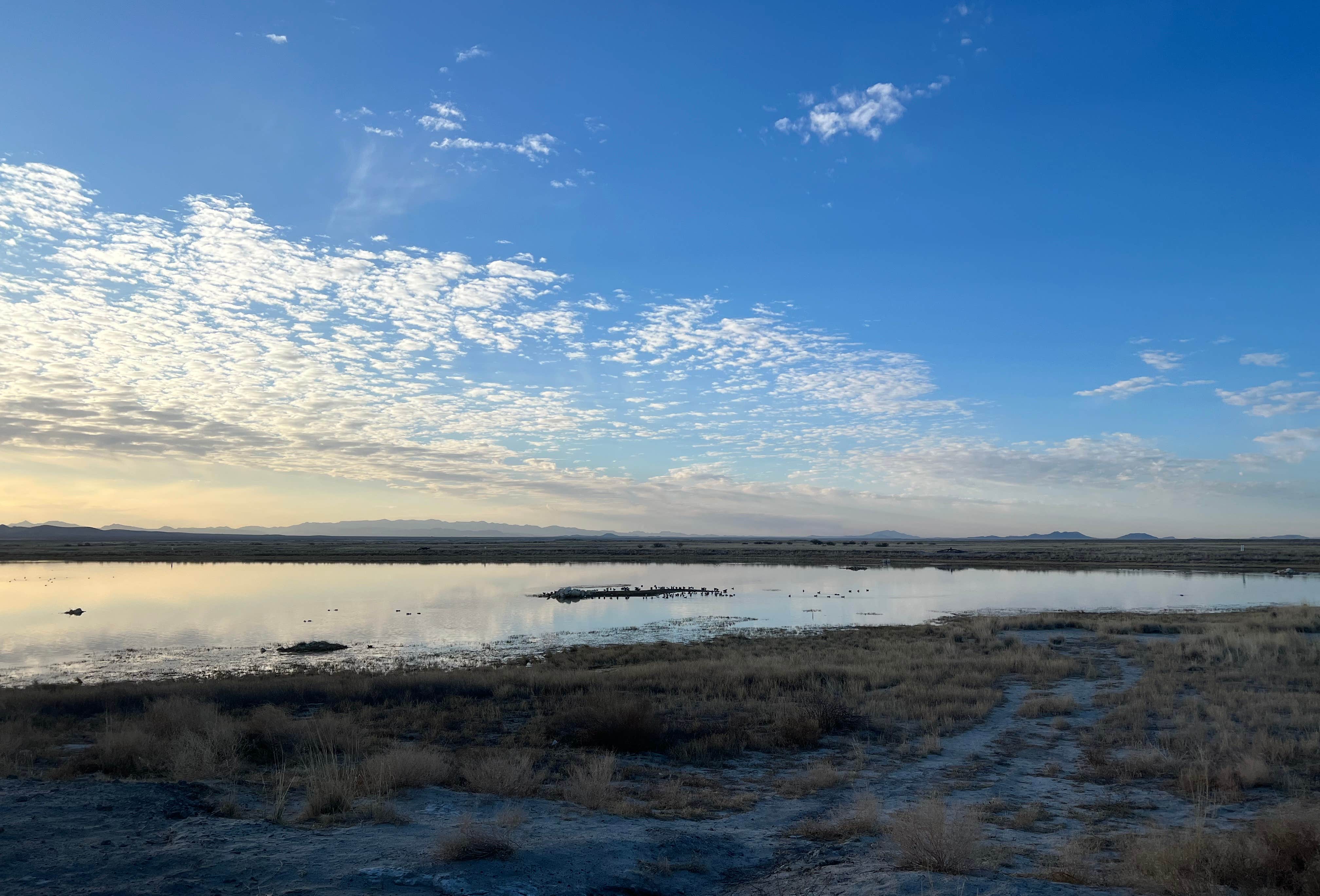 Cochise Lake Wildlife Viewing Area Dispersed Camping | Willcox, Arizona