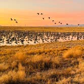 Review photo of Cochise Lake Wildlife Viewing Area Dispersed by Wade N., February 20, 2025