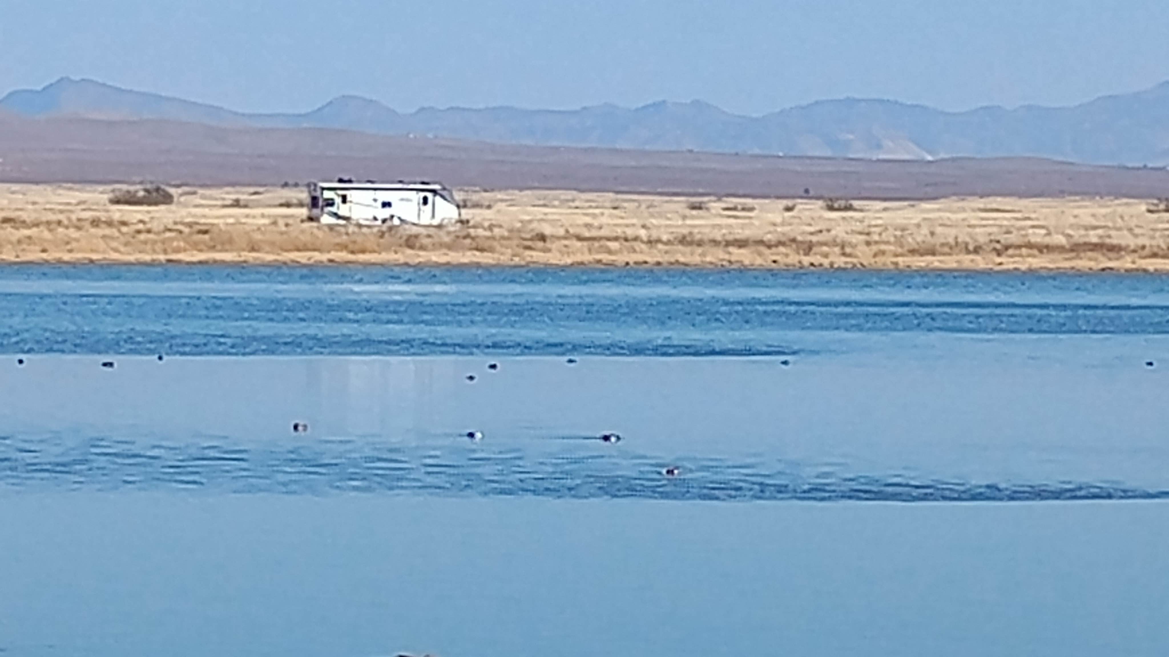Camper-submitted photo at Cochise Lake Wildlife Viewing Area Dispersed near Willcox, AZ