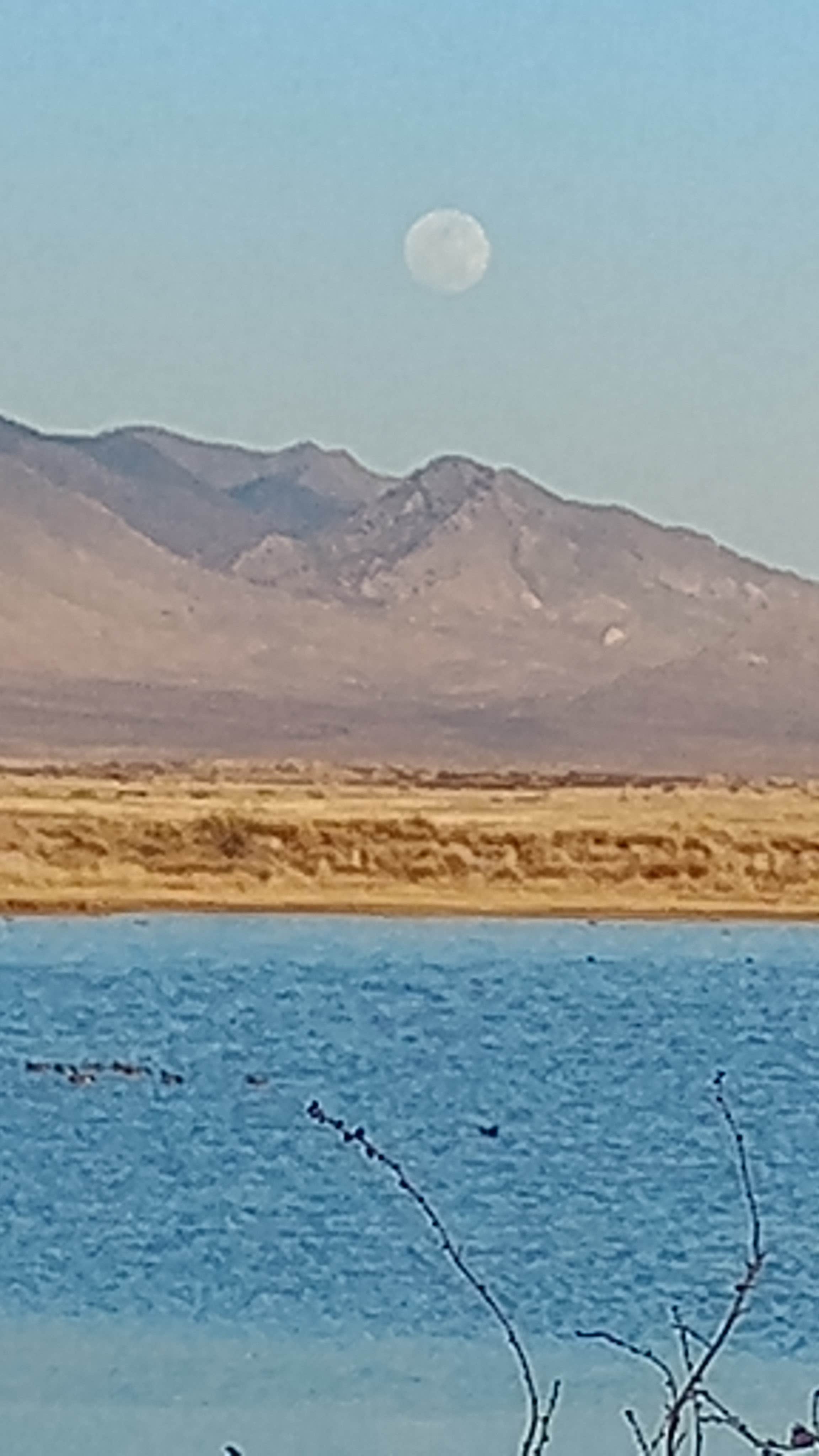 Camper-submitted photo at Cochise Lake Wildlife Viewing Area Dispersed near Willcox, AZ