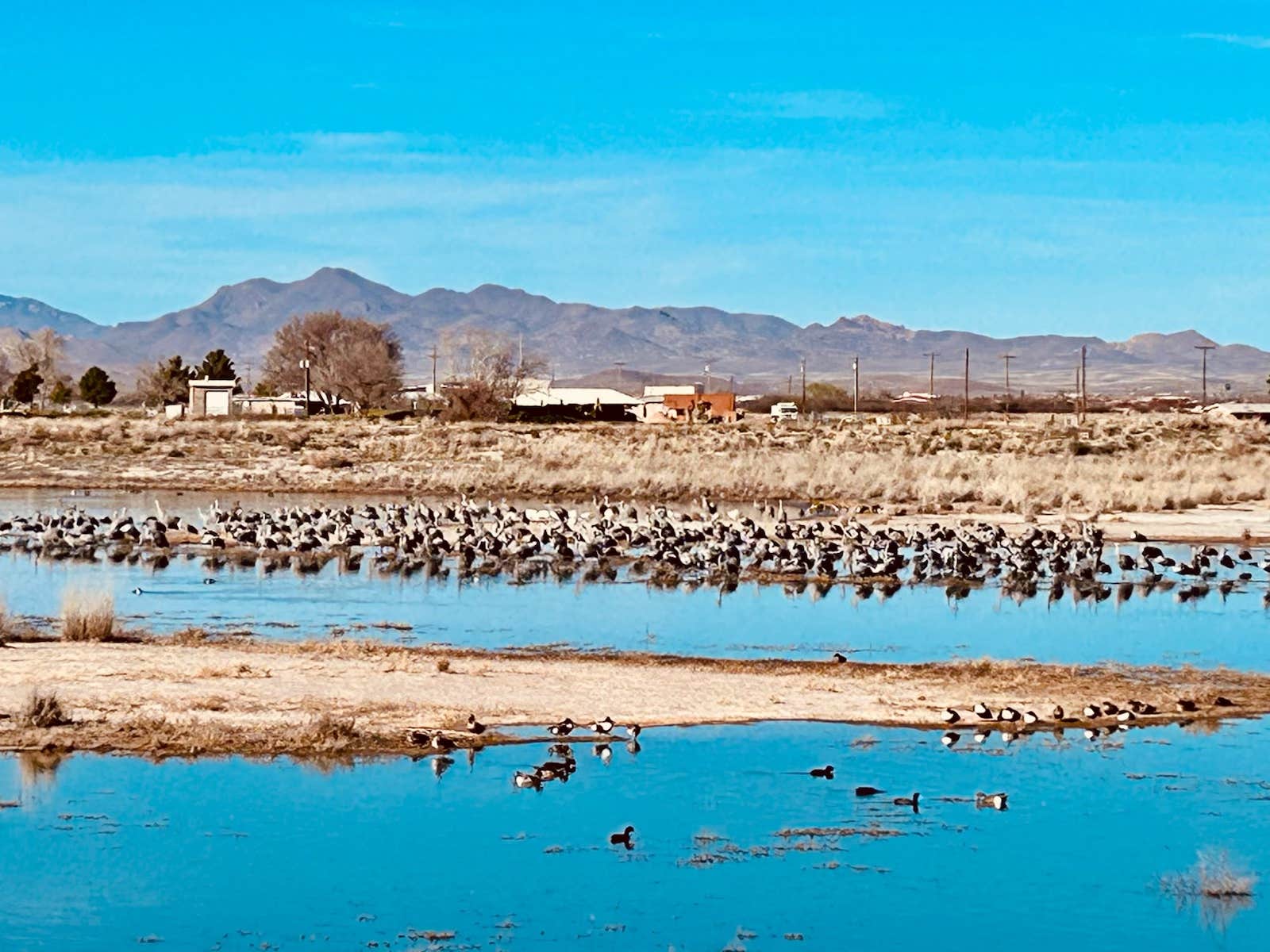 Ken M.'s photo of a dispersed camping area at Cochise Lake Wildlife Viewing Area Dispersed near Central, AZ
