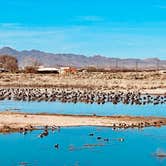 Review photo of Cochise Lake Wildlife Viewing Area Dispersed by Ken M., February 27, 2026