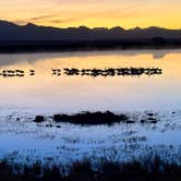 Review photo of Cochise Lake Wildlife Viewing Area Dispersed by Wade N., February 20, 2025