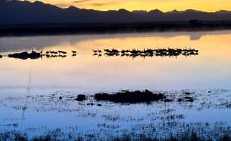 Wade N.'s photo of a dispersed camping area at Cochise Lake Wildlife Viewing Area Dispersed near Cochise, AZ