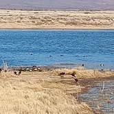 Review photo of Cochise Lake Wildlife Viewing Area Dispersed by Karen , April 14, 2025