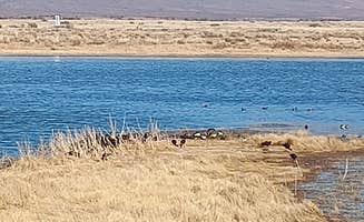 Karen's photo of a dispersed camping area at Cochise Lake Wildlife Viewing Area Dispersed near Cochise, AZ