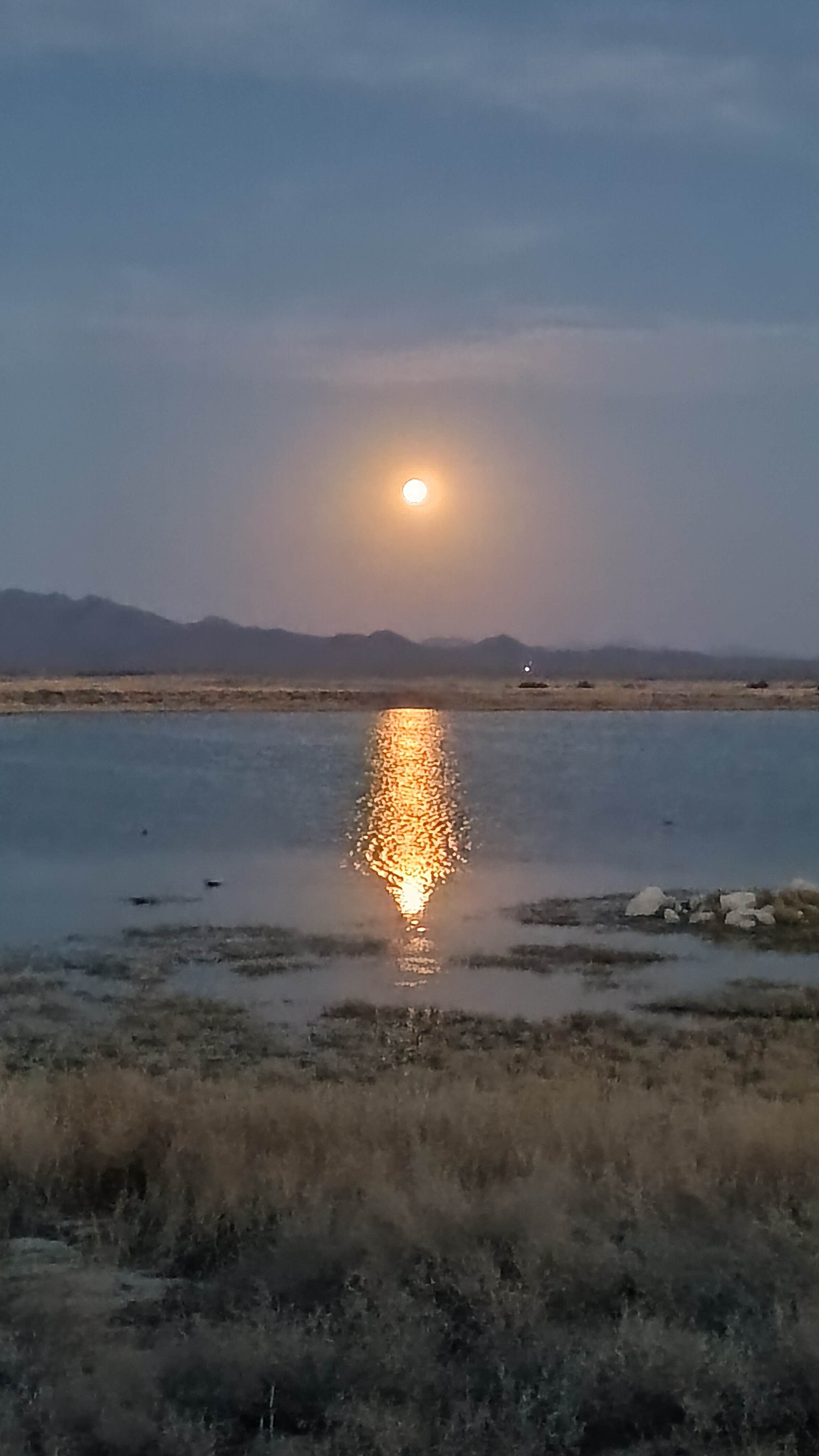 Camper-submitted photo at Cochise Lake Wildlife Viewing Area Dispersed near Willcox, AZ