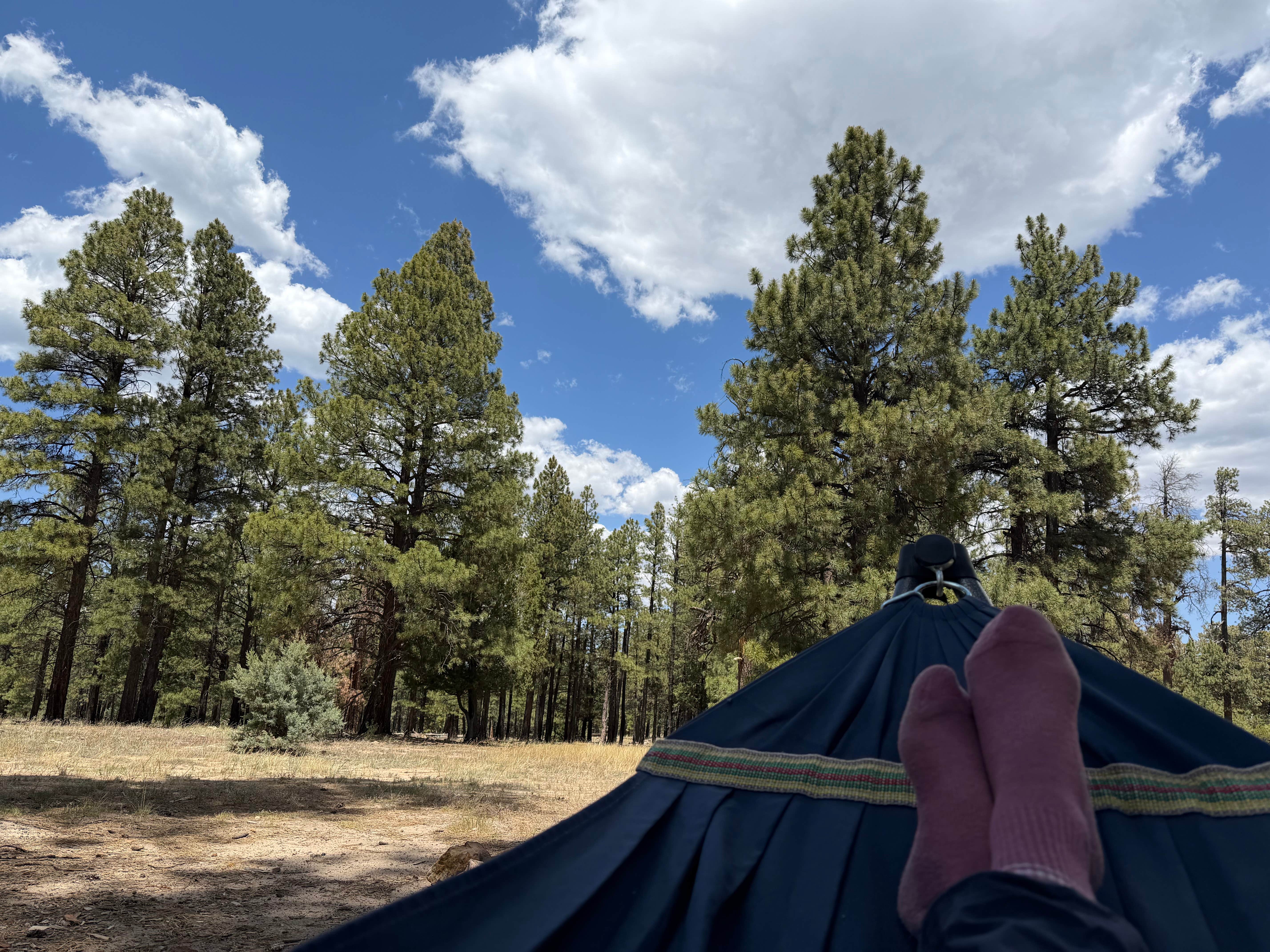 Camper-submitted photo at Coconino county FR 179 dispersed camping near Holbrook, AZ