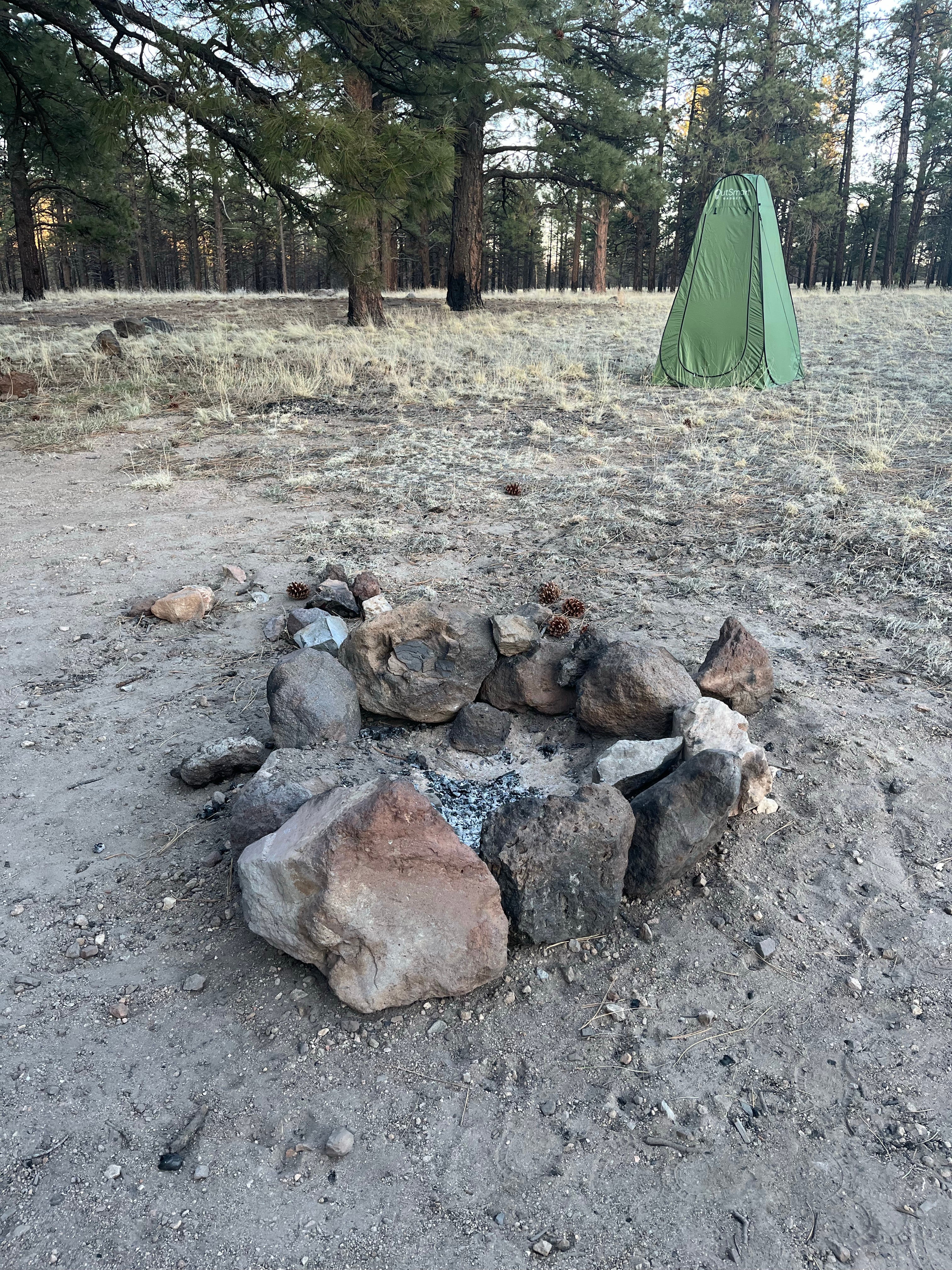 Camper submitted image from Coconino Forest Road 9125F - 4