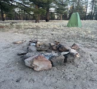 Camper-submitted photo from Coconino Forest Road 9125F