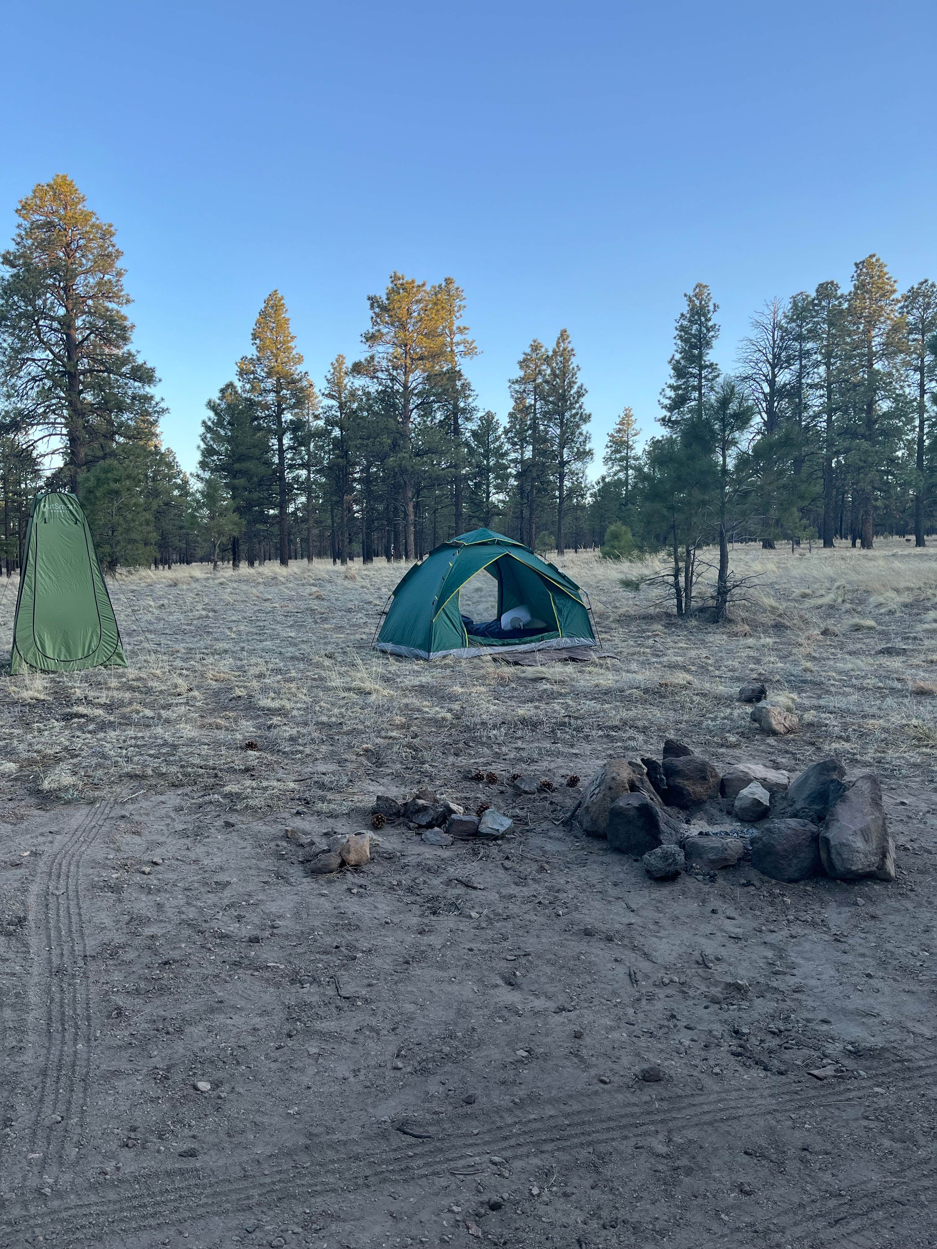 Chasity M.'s photo of tent camping at Coconino Forest Road 9125F near Flagstaff, AZ