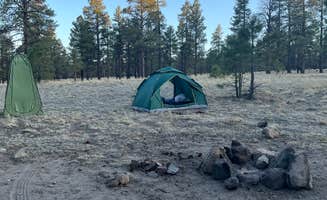Chasity M.'s photo of tent camping at Coconino Forest Road 9125F in Arizona