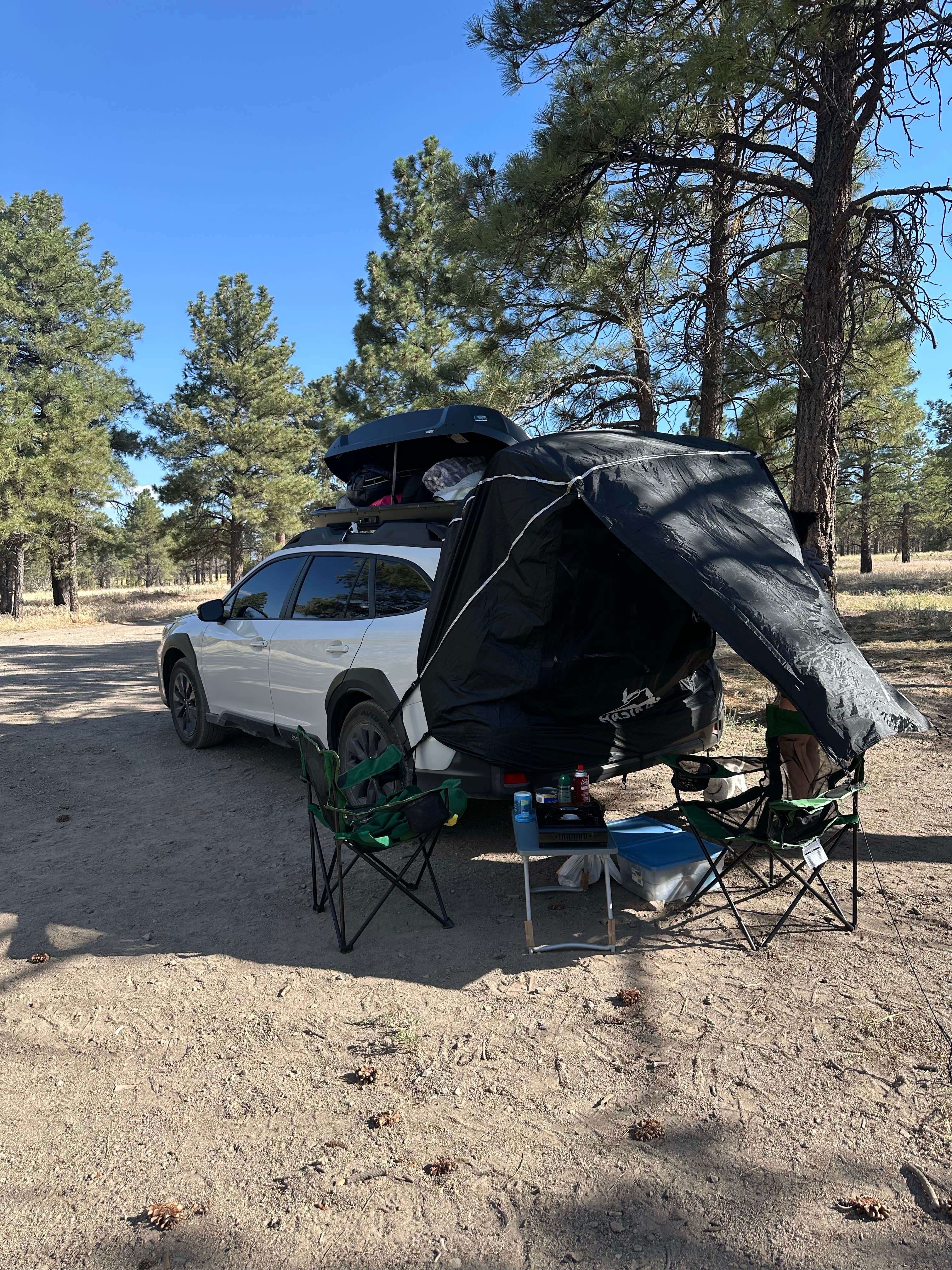 Camper-submitted photo at Coconino Forest Road 9125F near Flagstaff, AZ