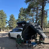 Review photo of Coconino Forest Road 9125F by Joe M., July 2, 2025