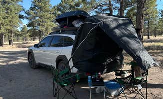 Joe M.'s photo of tent camping at Coconino Forest Road 9125F near Leupp, AZ