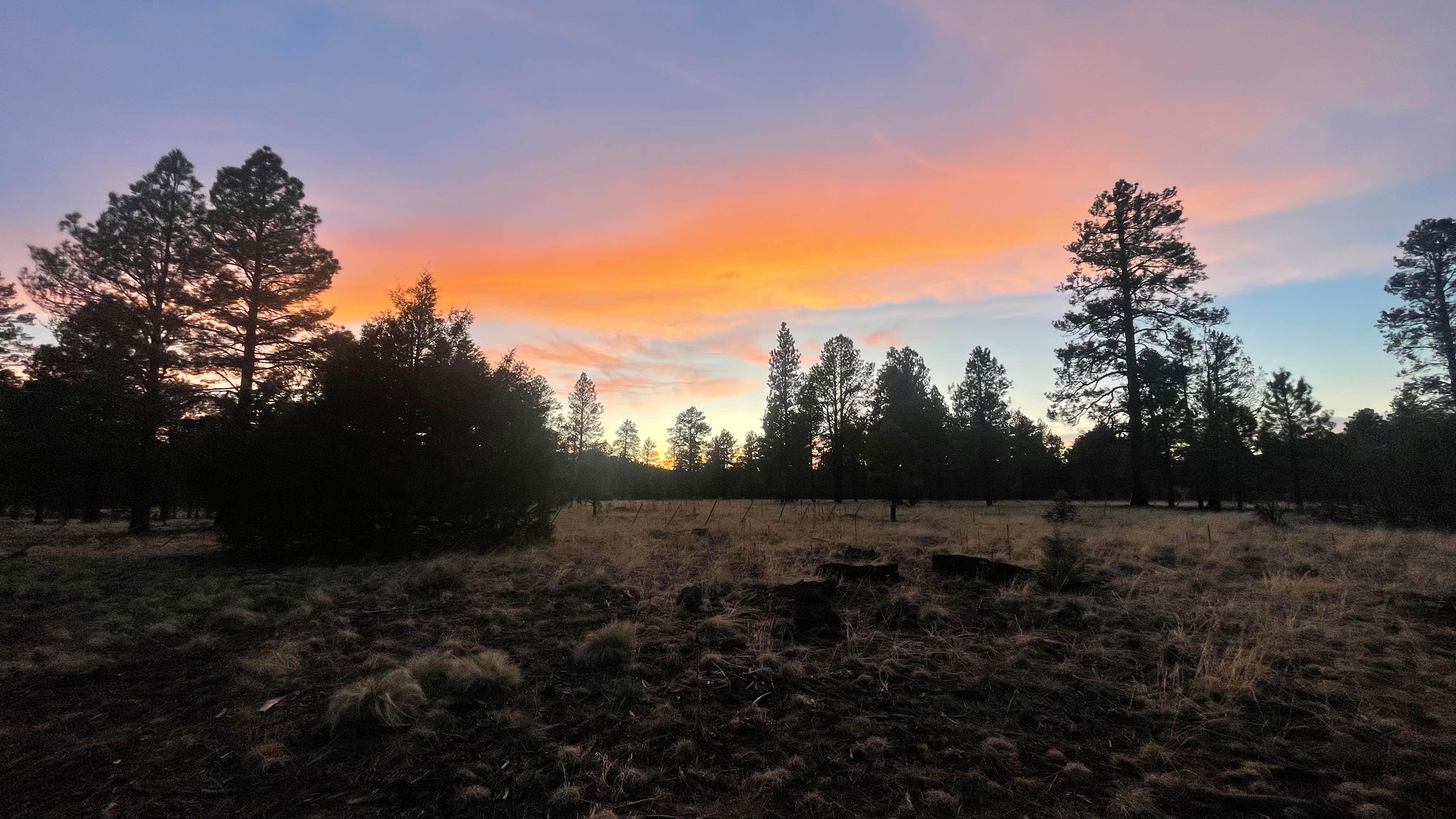 Camper-submitted photo at Coconino National Forest off Lake Mary Rd near Flagstaff, AZ