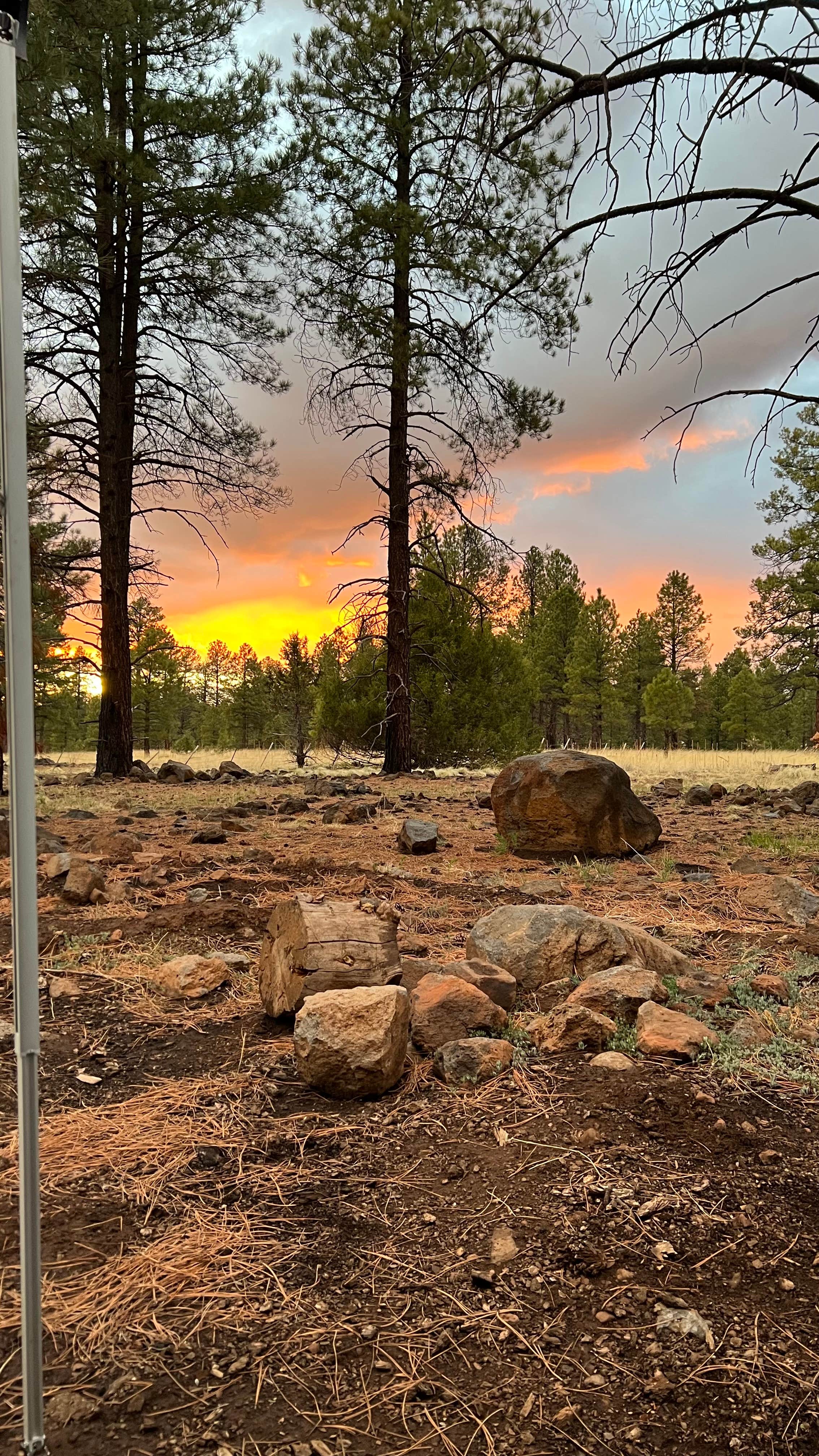 Camper submitted image from Coconino National Forest off Lake Mary Rd - 1