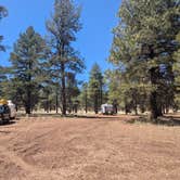Review photo of Coconino National Forest off Lake Mary Rd by Carla S., April 22, 2025