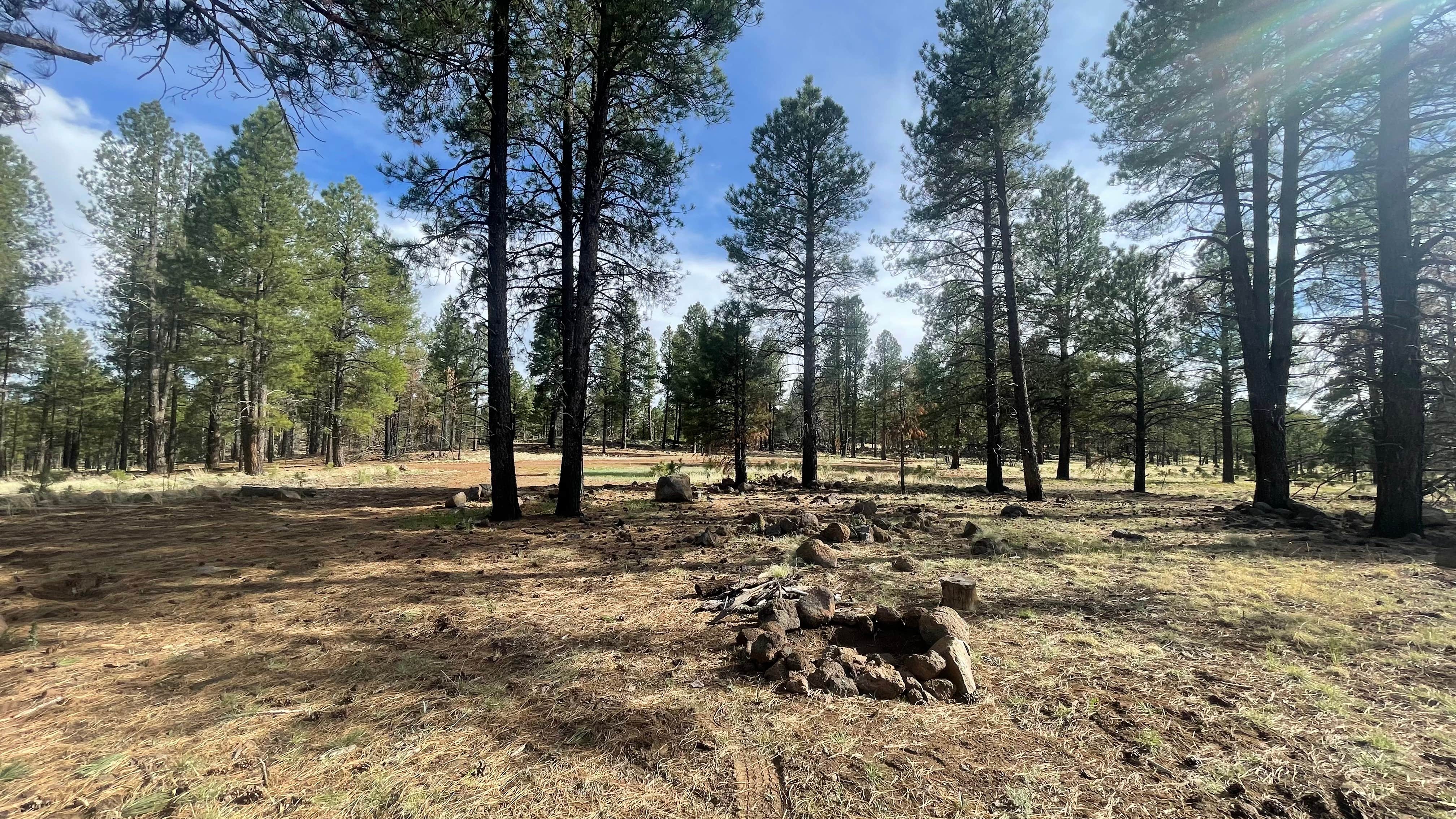Camper-submitted photo at Coconino National Forest off Lake Mary Rd near Flagstaff, AZ