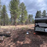 Review photo of Coconino National Forest off Lake Mary Rd by Jules S., May 9, 2025