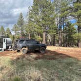 Review photo of Coconino National Forest off Lake Mary Rd by Jules S., May 9, 2025