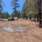 Review photo of Coconino National Forest off Lake Mary Rd by Carla S., April 22, 2025