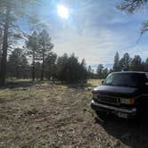 Review photo of Coconino National Forest off Lake Mary Rd by Joshua M., May 11, 2025