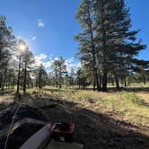 Review photo of Coconino National Forest off Lake Mary Rd by Ikela M., July 8, 2025