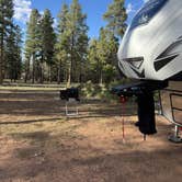 Review photo of Coconino Rim Road Dispersed Camping by Corey W., April 21, 2026