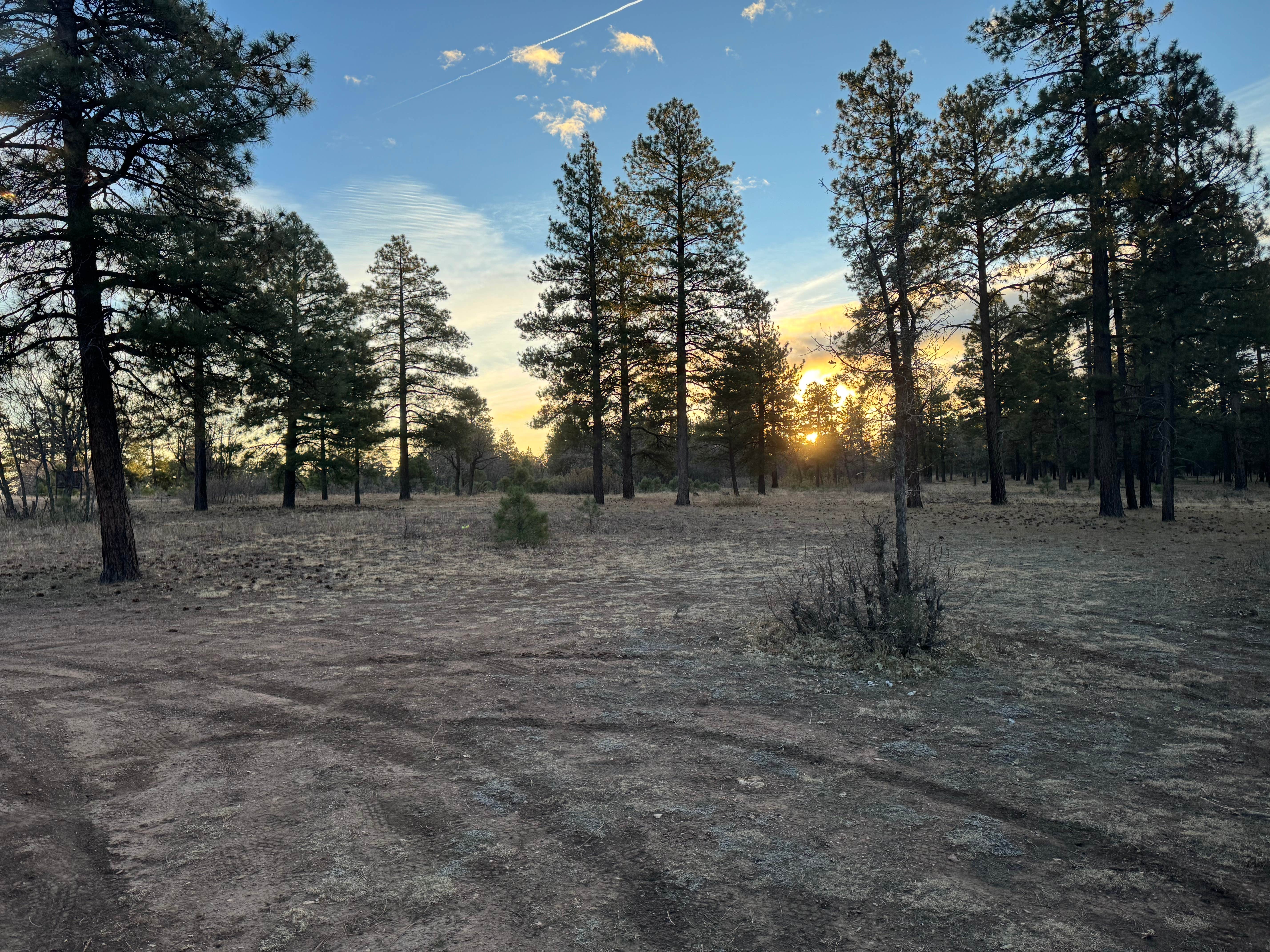Camper-submitted photo at Coconino Rim Road Dispersed Camping near Tuba City, AZ