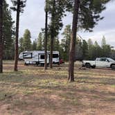 Review photo of Coconino Rim Road Dispersed Camping by Corey W., April 21, 2026