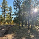 Review photo of Coconino Rim Road Dispersed Camping by Stacia M., October 17, 2025