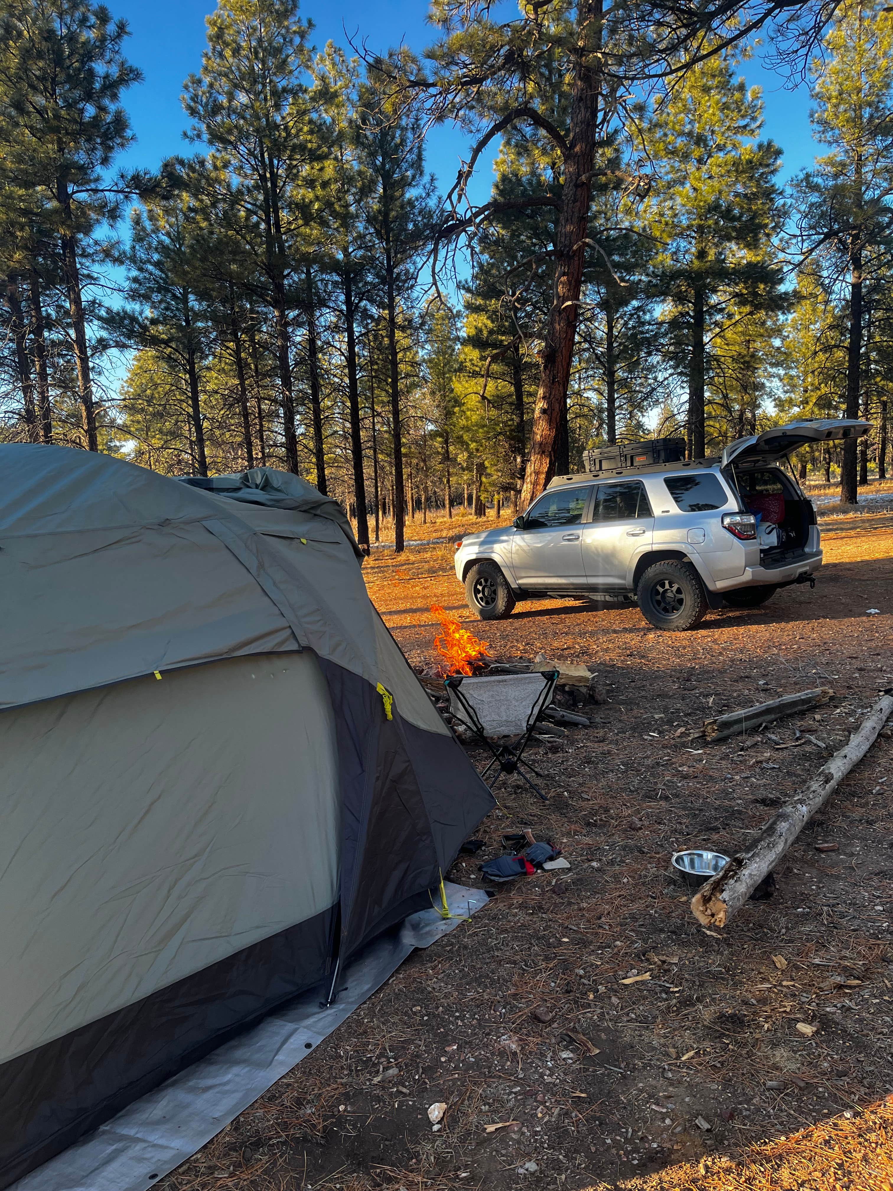 Camper-submitted photo at Coconino Rim Road Dispersed Camping near Tuba City, AZ