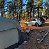 Review photo of Coconino Rim Road Dispersed Camping by darinn M., December 1, 2024