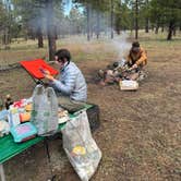 Review photo of Coconino Rim Road Dispersed Camping by Emily F., May 11, 2024